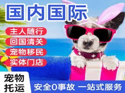 甘南夏河空运公司国际宠物托运 【国